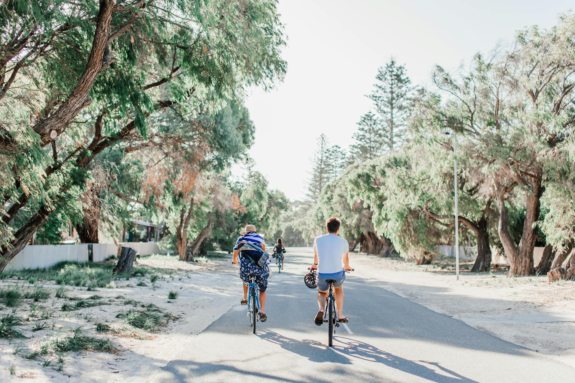 Grupa rowerzystów jedzie słoneczną, zadrzewioną drogą na Roztoczu