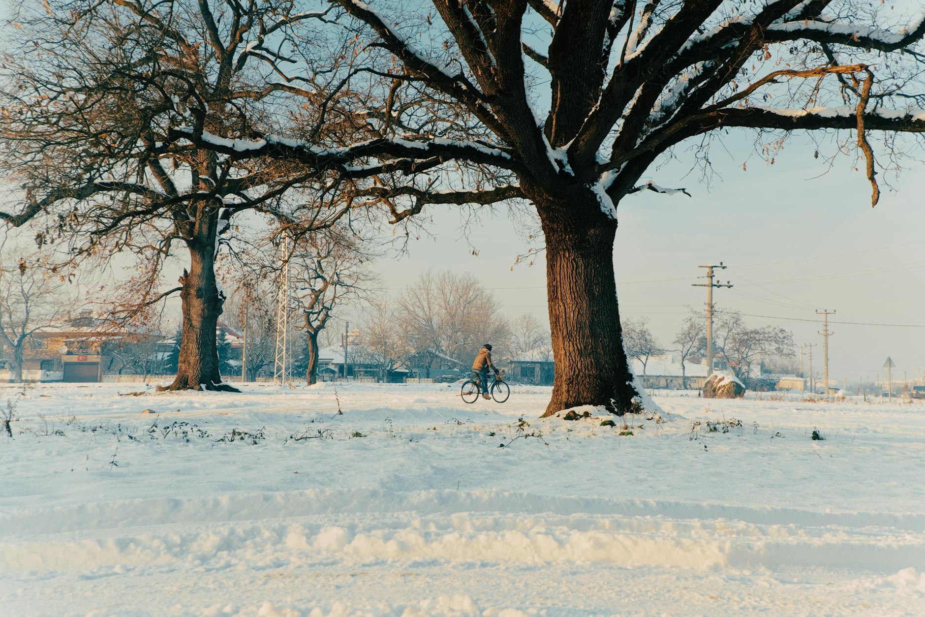 Rowerzysta z sakwami jedzie szlakiem Green Velo wśród pól Lubelszczyzny