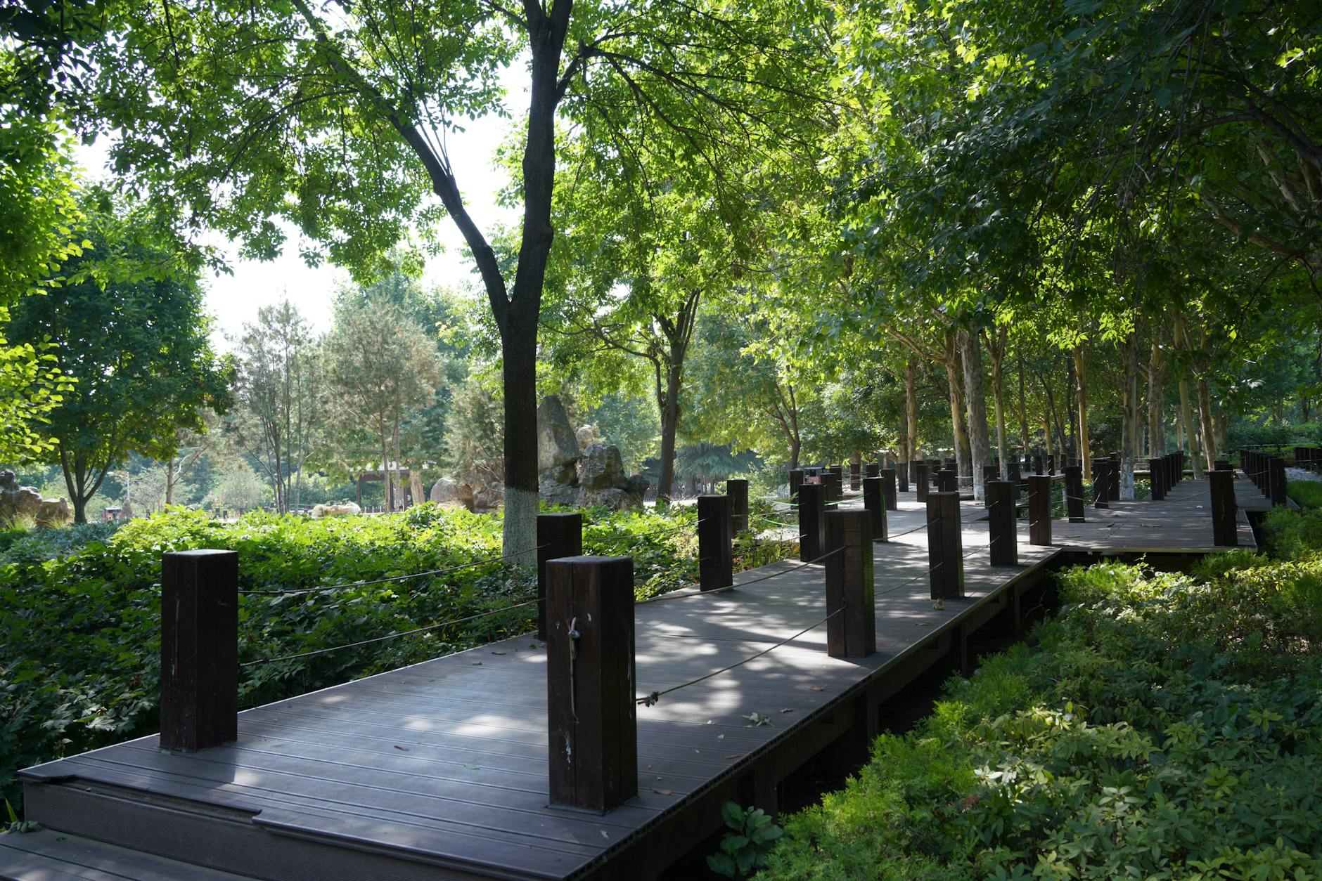 Drewniana kładka wśród zielonych drzew w spokojnym parku