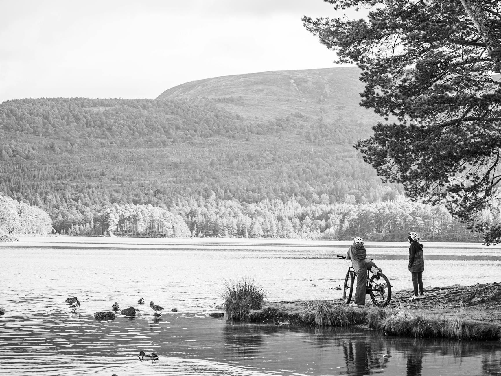 Rowerzyści nad spokojnym jeziorem w otoczeniu gór i drzew
